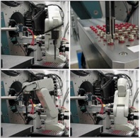 11-BM Robot Action Loading a Sample